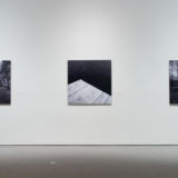 Installation View 1, Art Gallery of Windsor, 2005