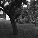 Backyard, 2005