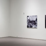 Installation View 2, Art Gallery of Windsor, 2005