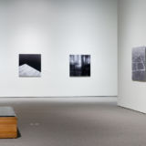 Installation View 3, Art Gallery of Windsor, 2005