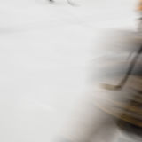 Sticks & Stripes, 2019