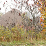 Oro Medonte Pair, 2011