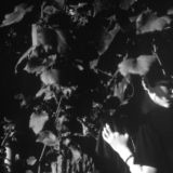 Against the Fence (Detail)