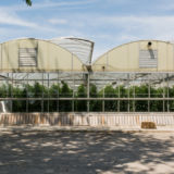 Sunrise Farm Girl's Greenhouse Greenhouses - Sunrise Farm Girl's Greenhouse